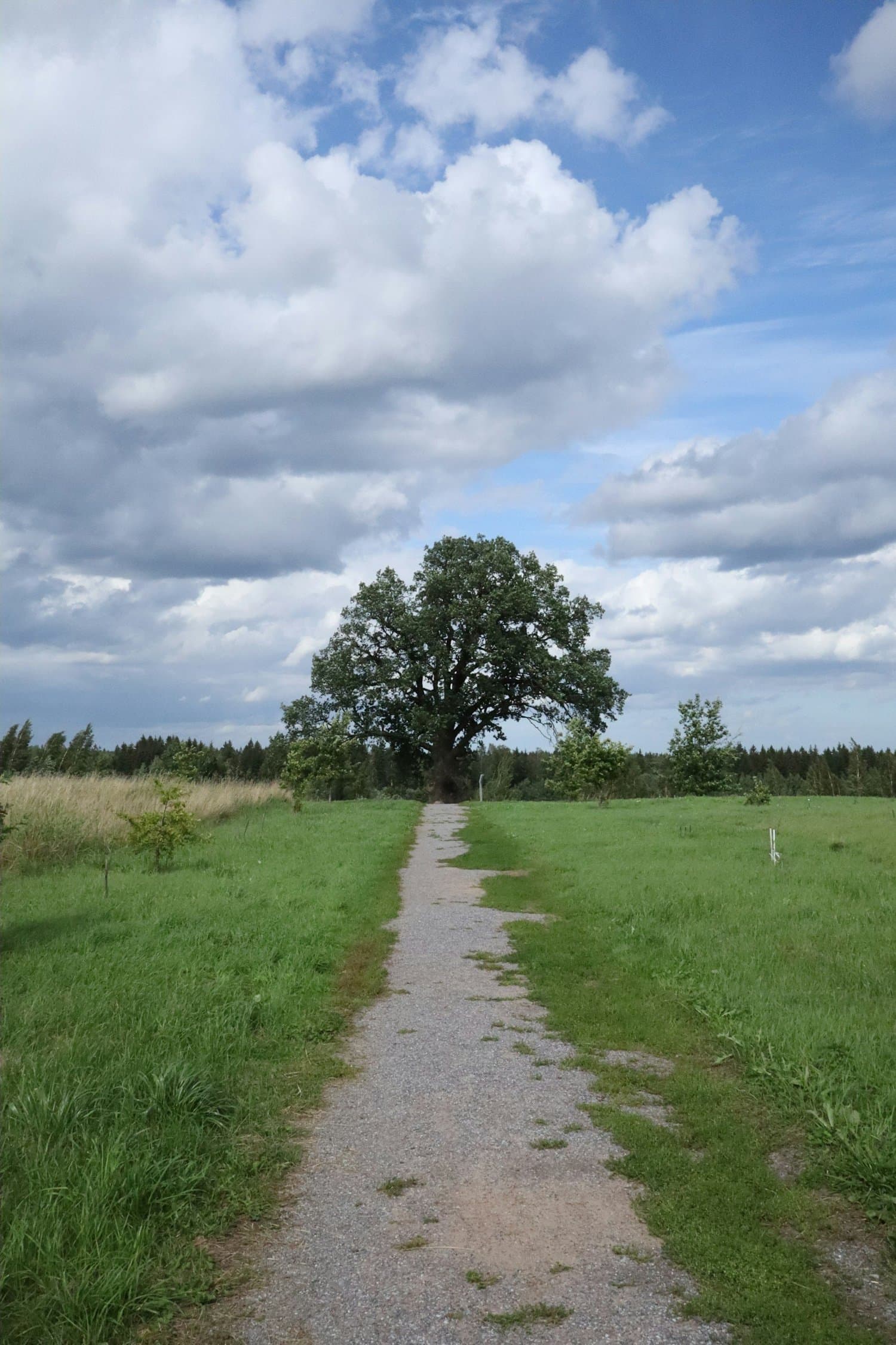 A guide for Ontario specialists on creating a seamless fertility referral pathway. Learn OFP criteria, referral triggers